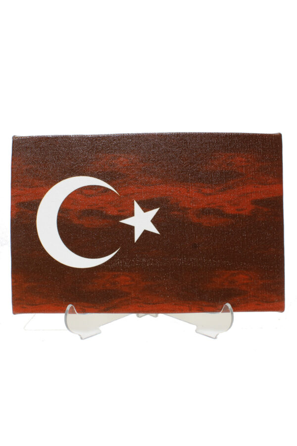 Türk Bayrağı Dikdörtgen Kanvas Tablo